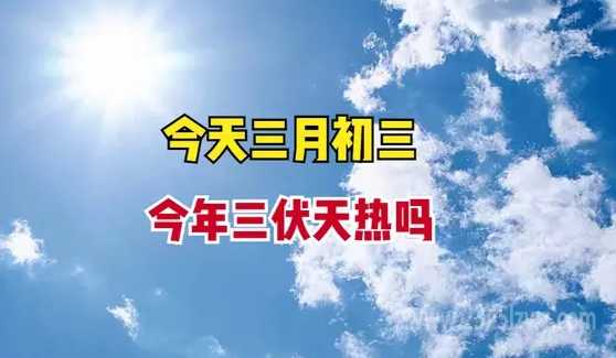 2025三伏天好热的句子，2025三伏天太热了配图文案(57句)